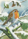 Robin in Winter